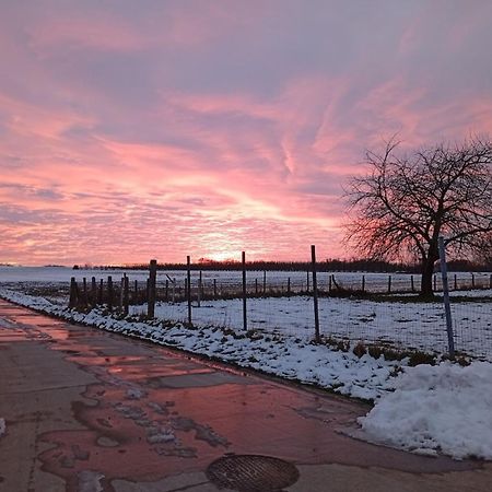 De Smishoeve Met Speelruimte, Dieren En Wellness Villa Heers Екстериор снимка