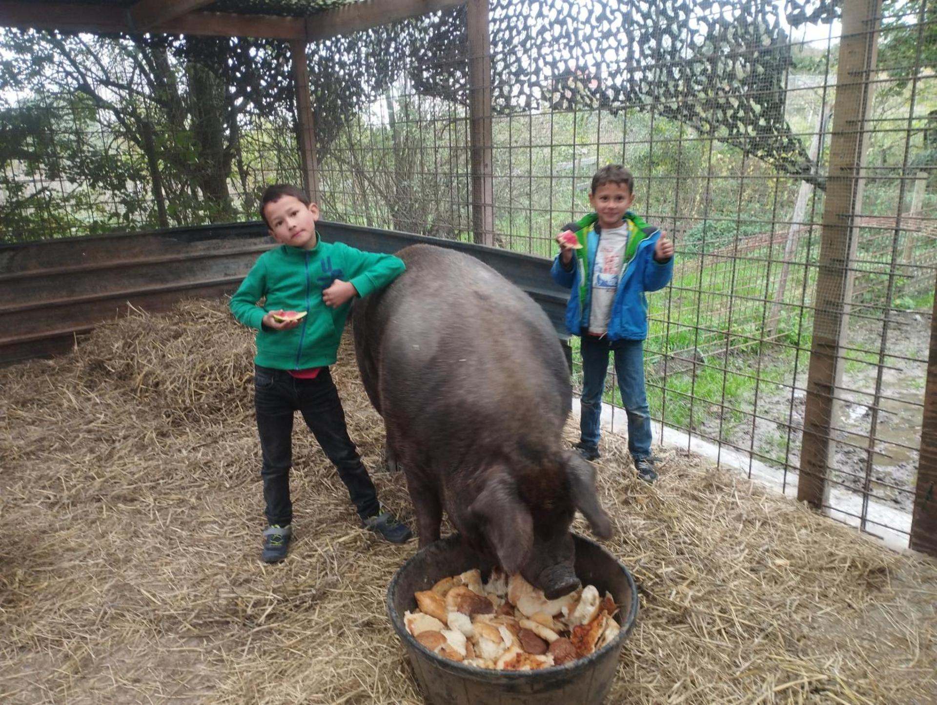 De Smishoeve Met Speelruimte, Dieren En Wellness Villa Heers Екстериор снимка