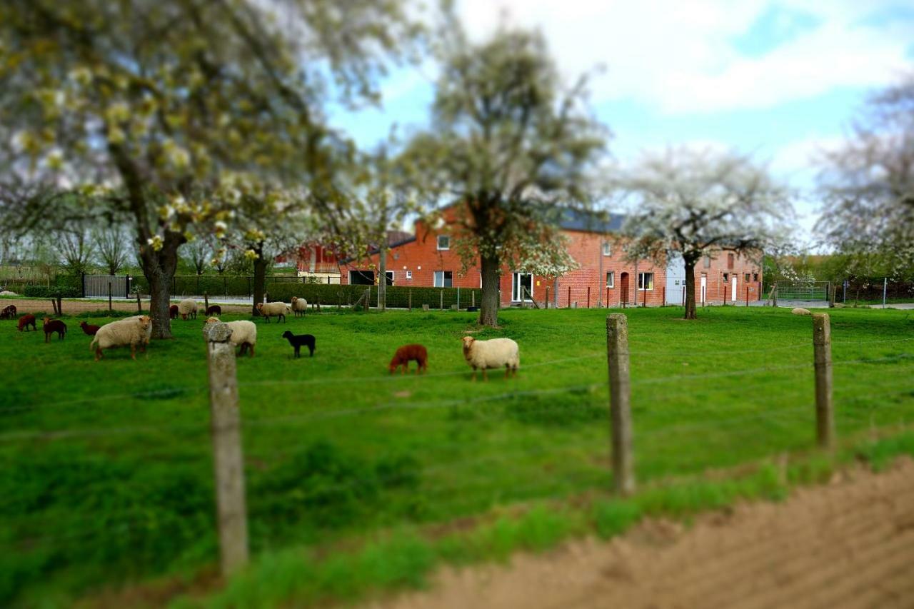 De Smishoeve Met Speelruimte, Dieren En Wellness Villa Heers Екстериор снимка